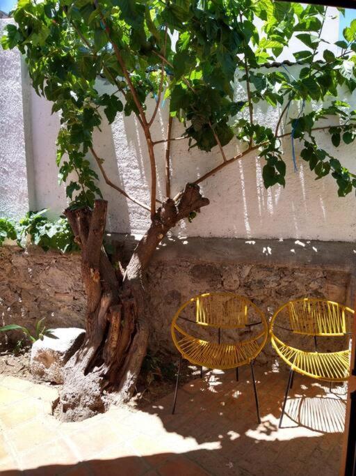 Original Y Comodo Loft En El Centro De Tulancingo Leilighet Eksteriør bilde